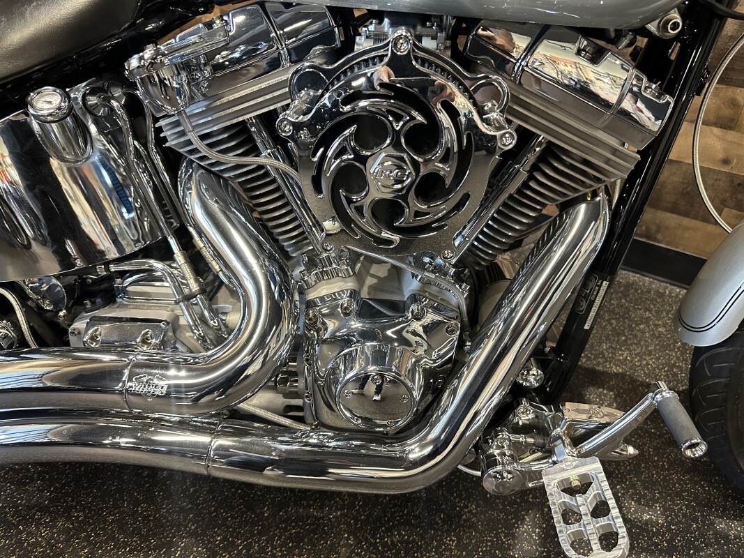 2006 Harley-Davidson Softail Standard Silver FXST - Photo 7