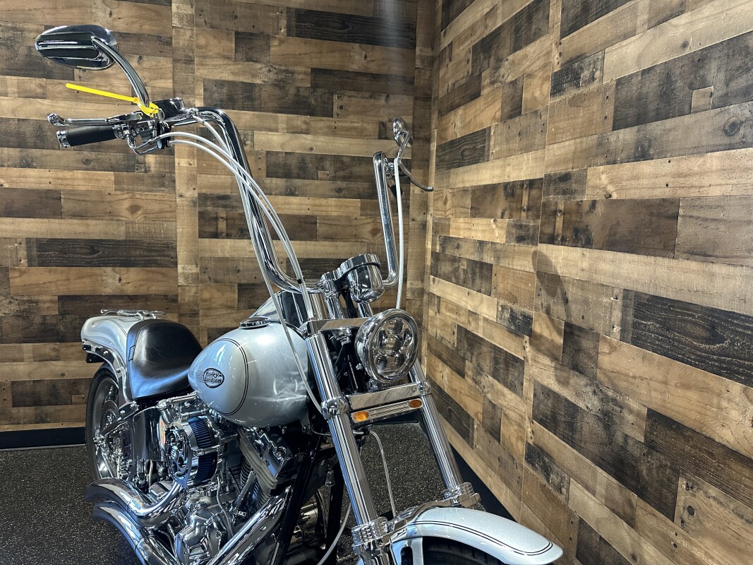 2006 Harley-Davidson Softail Standard Silver FXST - Photo 4