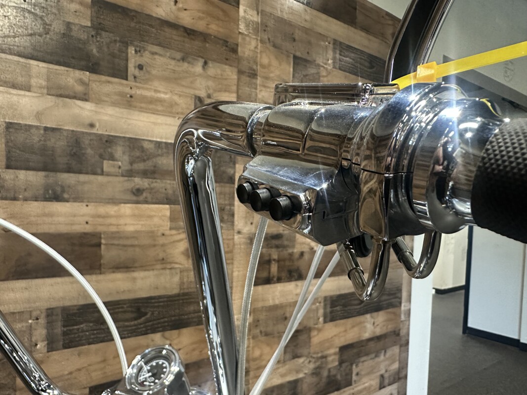 2006 Harley-Davidson Softail Standard Silver FXST - Photo 10