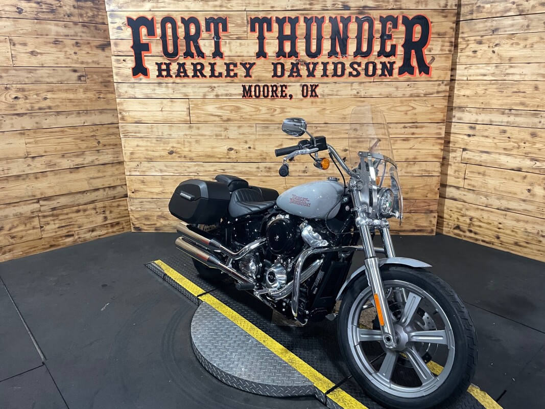 Harley-Davidson Softail Standard 2024 FXST Billiard Gray - Photo 3