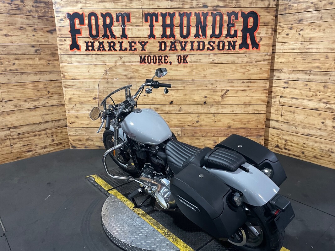 Harley-Davidson Softail Standard 2024 FXST Billiard Gray - Photo 10