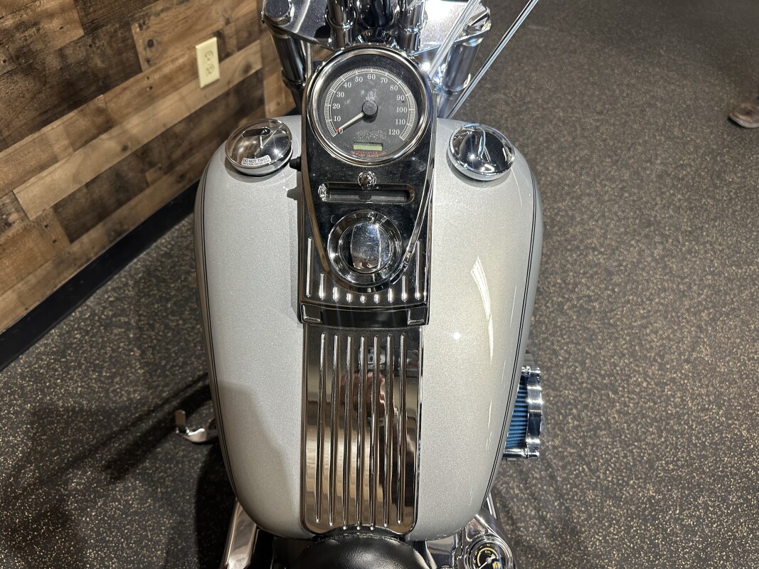 2006 Harley-Davidson Softail Standard Silver FXST - Photo 6
