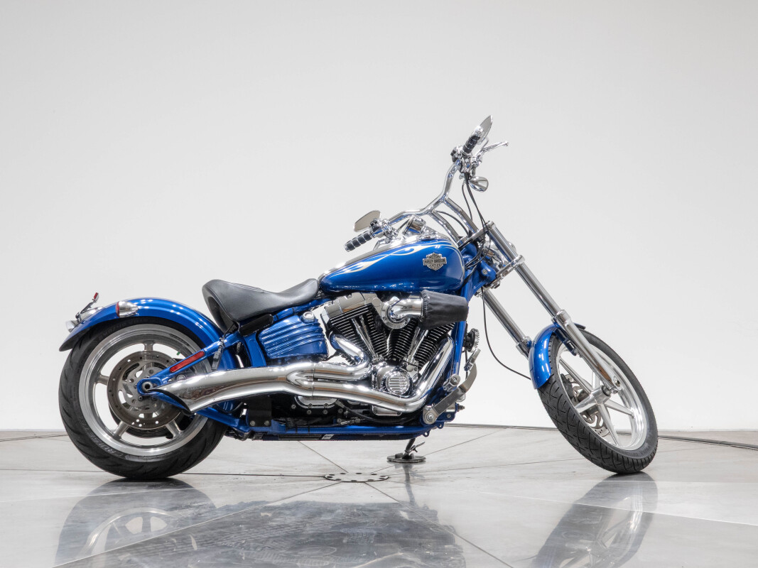 HARLEY DAVIDSON Blue flame ルーニーチューンズ