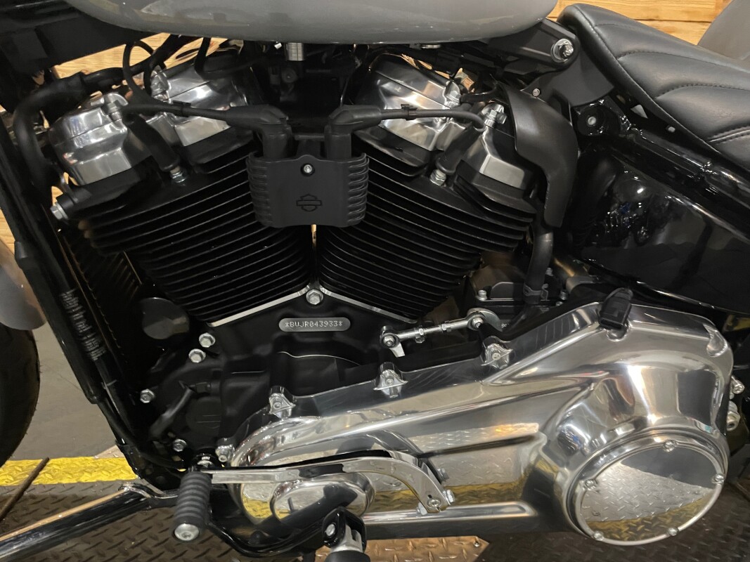 Harley-Davidson Softail Standard 2024 FXST Billiard Gray - Photo 8