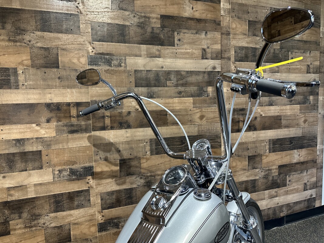 2006 Harley-Davidson Softail Standard Silver FXST - Photo 5