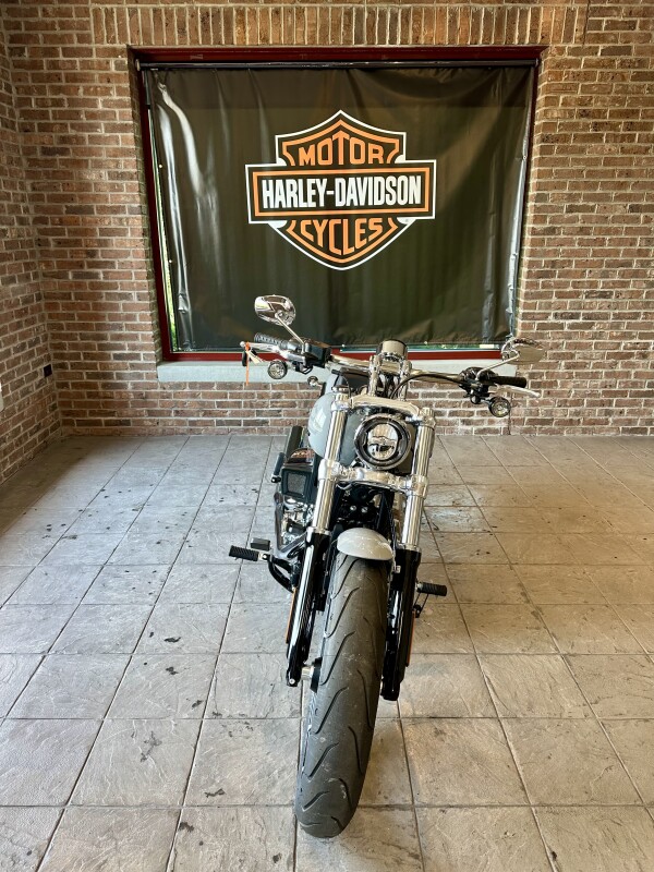 2025 Harley-Davidson Breakout FXBR BILLIARD GRAY - Photo 2
