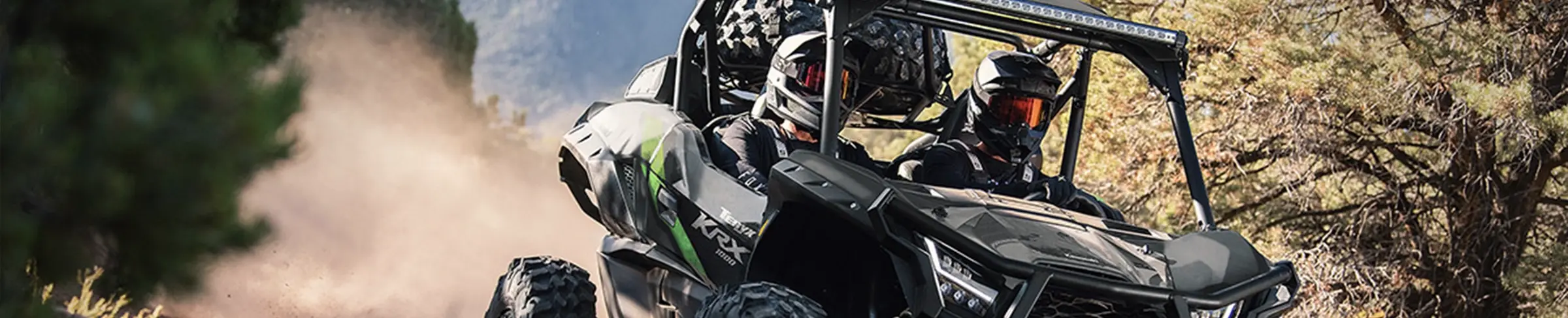 New Inventory