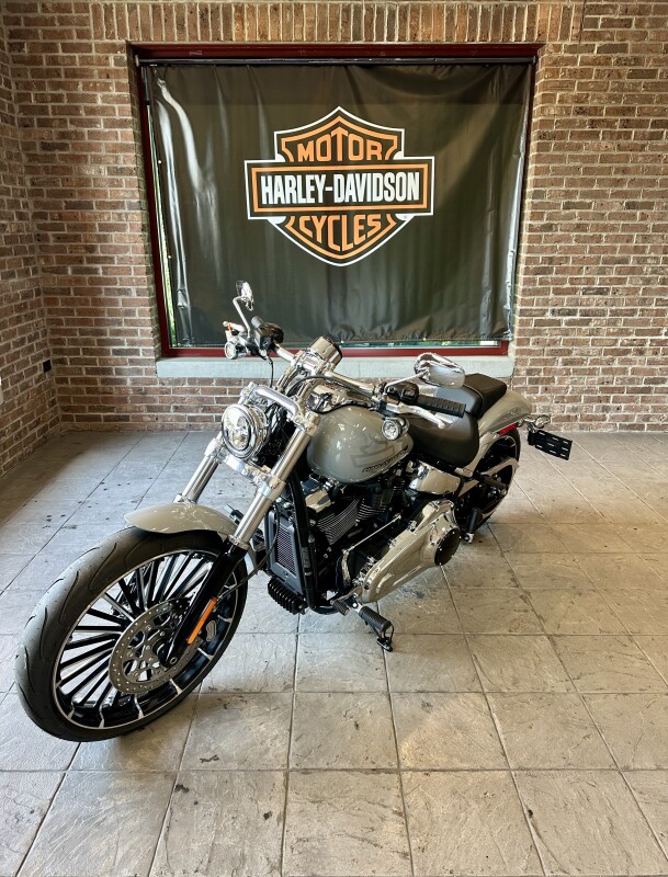 2025 Harley-Davidson Breakout FXBR BILLIARD GRAY - Photo 3