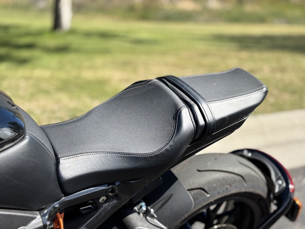 2020 Harley-Davidson LiveWire Black - Photo 9