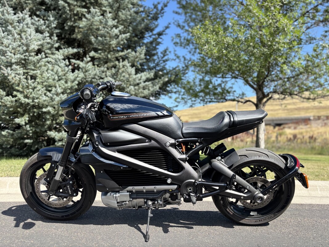 2020 Harley-Davidson LiveWire Black - Photo 4