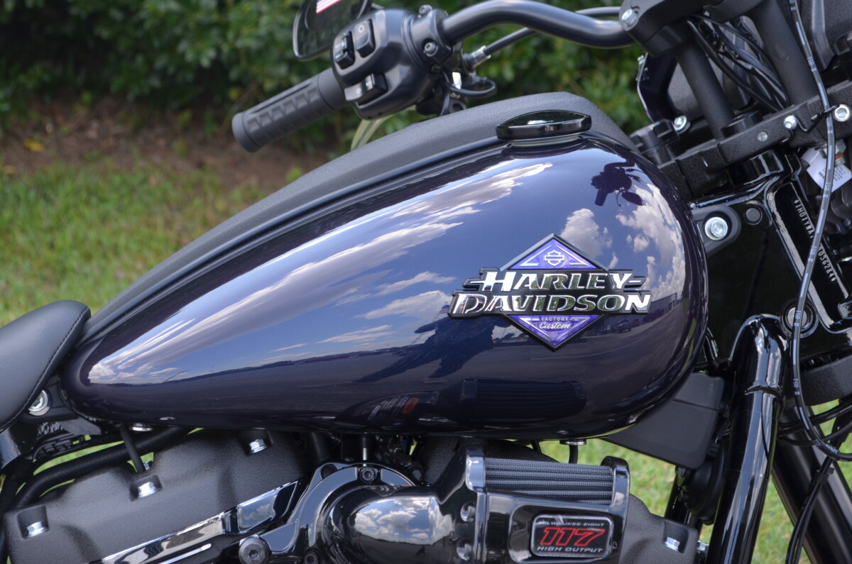 2025 Low Rider S – Dark Custom Cruiser - Photo 9