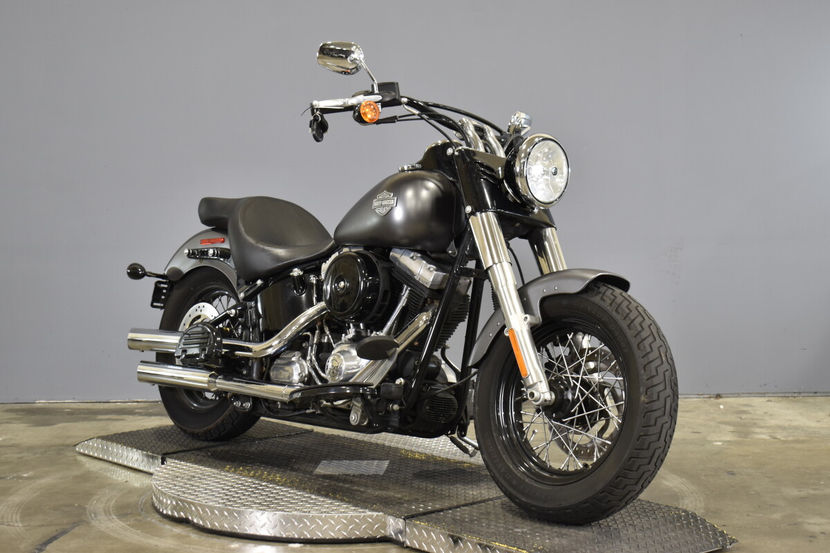 2015 Harley-Davidson Softail Slim FLS - Photo 2