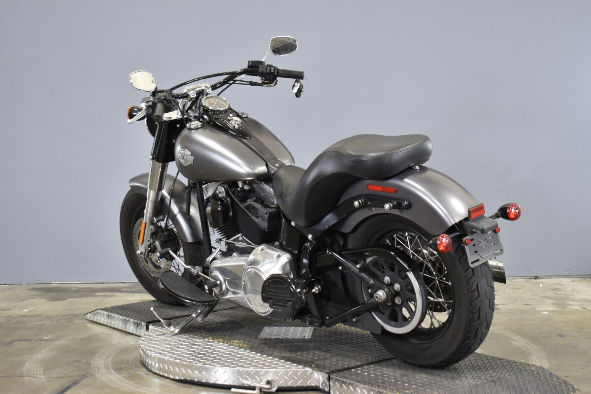 2015 Harley-Davidson Softail Slim FLS - Photo 6