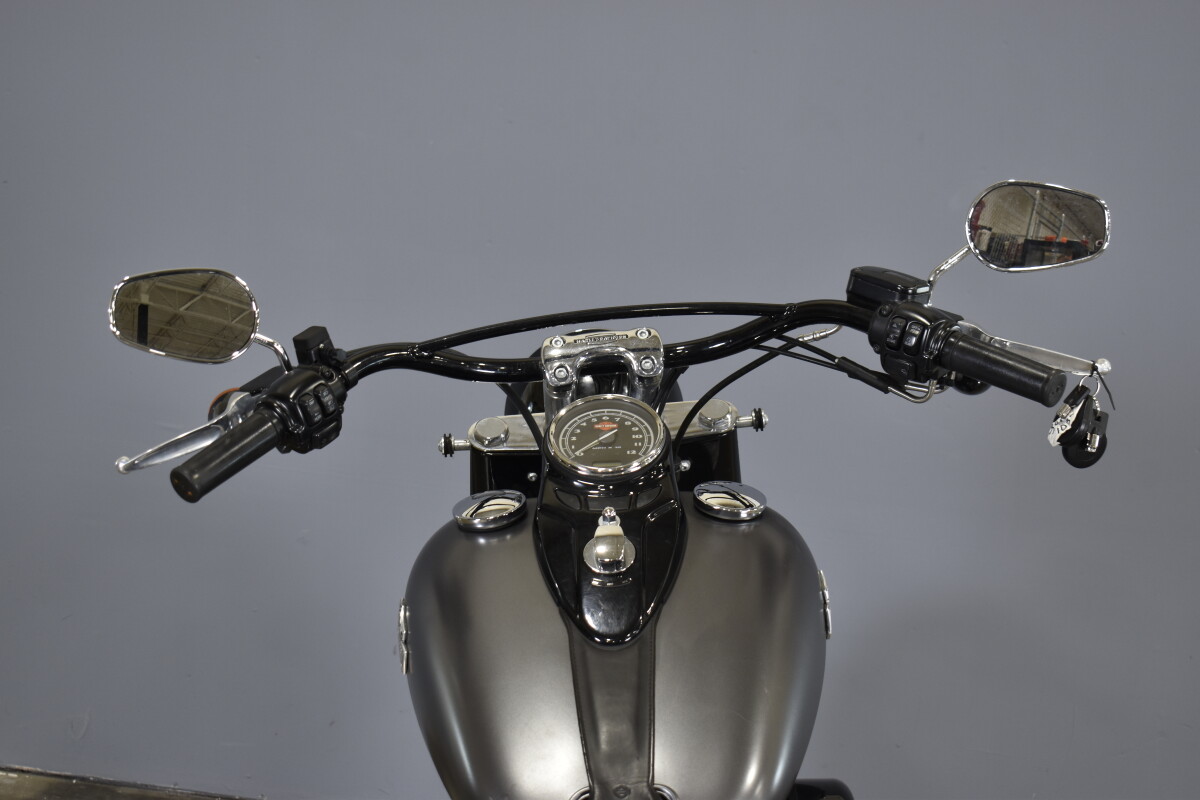 2015 Harley-Davidson Softail Slim FLS - Photo 8