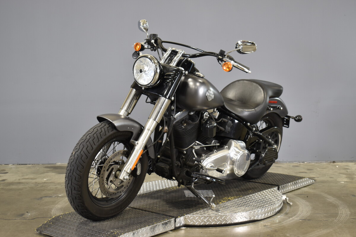 2015 Harley-Davidson Softail Slim FLS - Photo 4