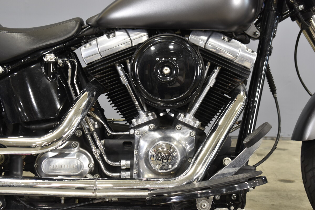2015 Harley-Davidson Softail Slim FLS - Photo 10