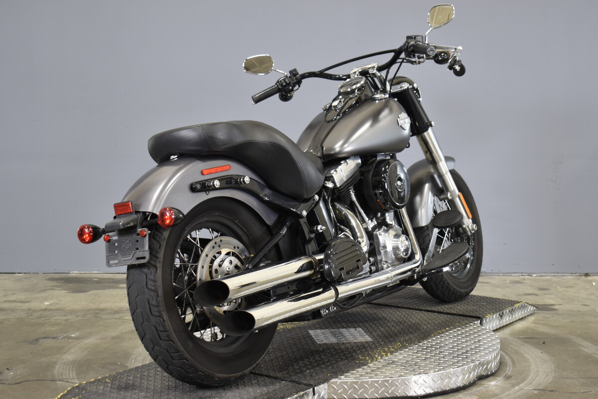 2015 Harley-Davidson Softail Slim FLS - Photo 9