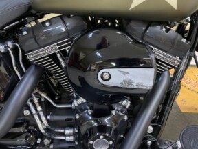 2017 Harley-Davidson® Softail Slim® S Olive Gold Denim thumb 2