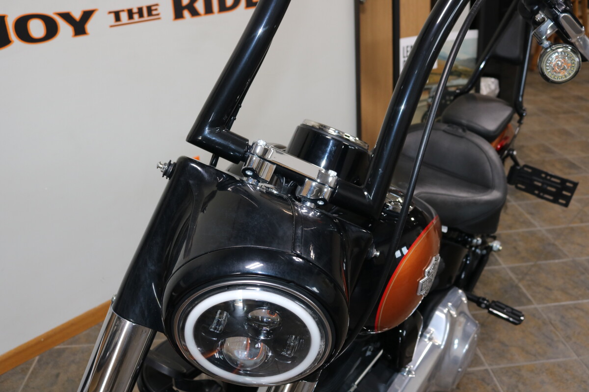 FLS 2015 Softail Slim - Photo 5