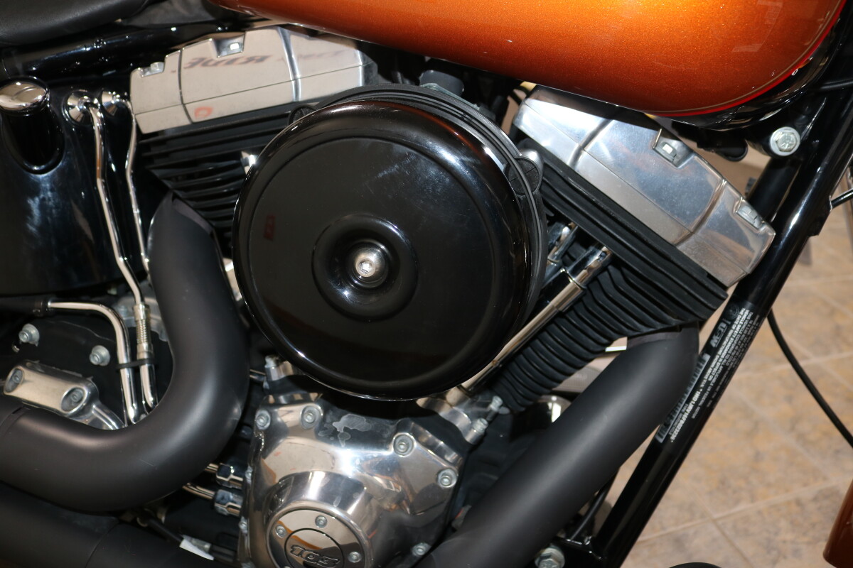 FLS 2015 Softail Slim - Photo 9