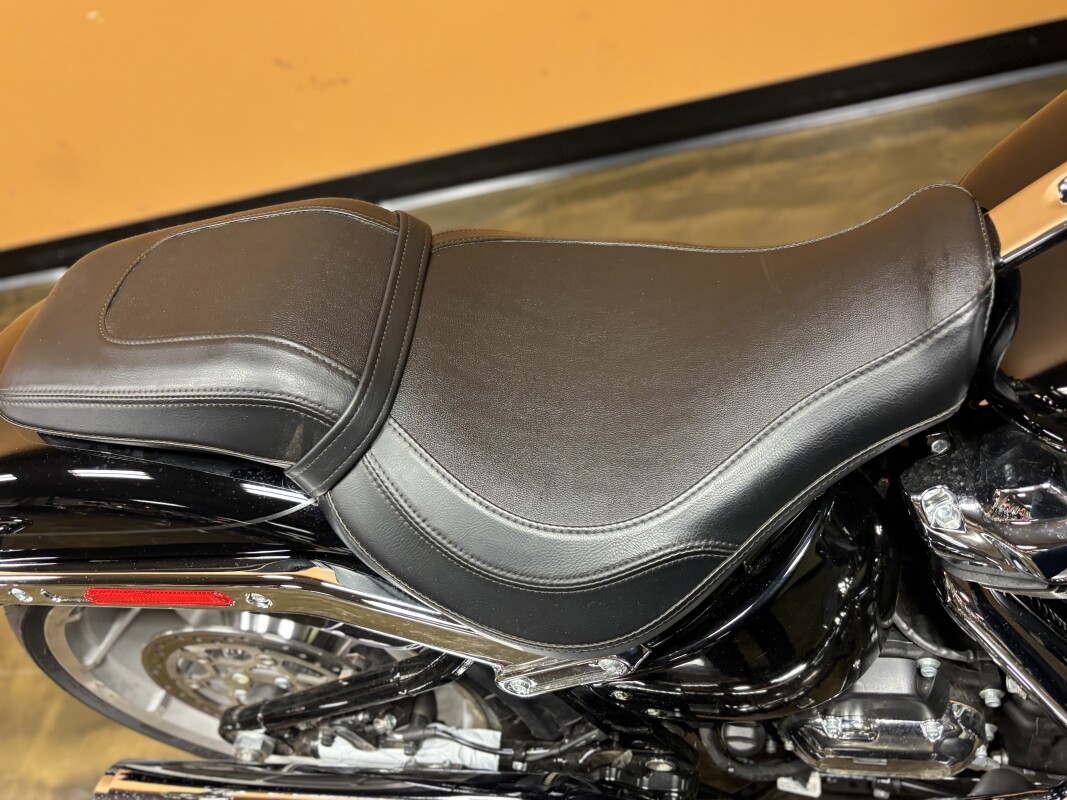 FLFB 2025 Fat Boy - Photo 7