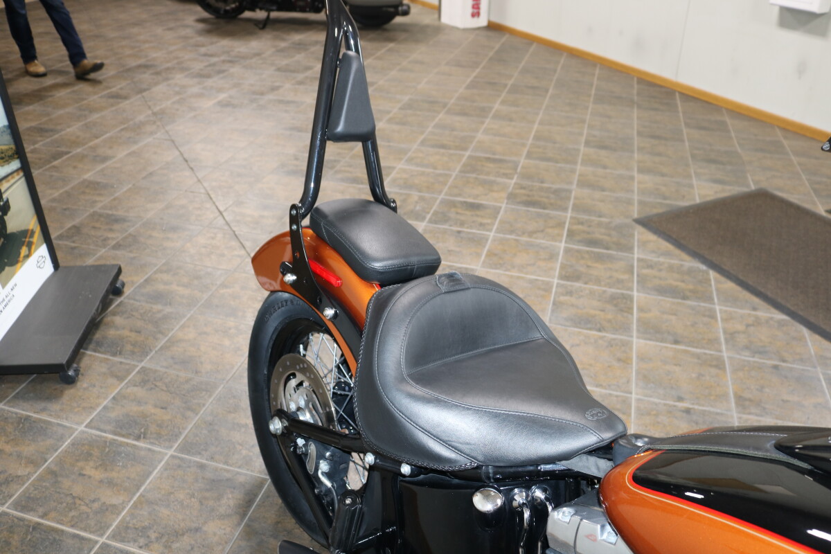 FLS 2015 Softail Slim - Photo 10