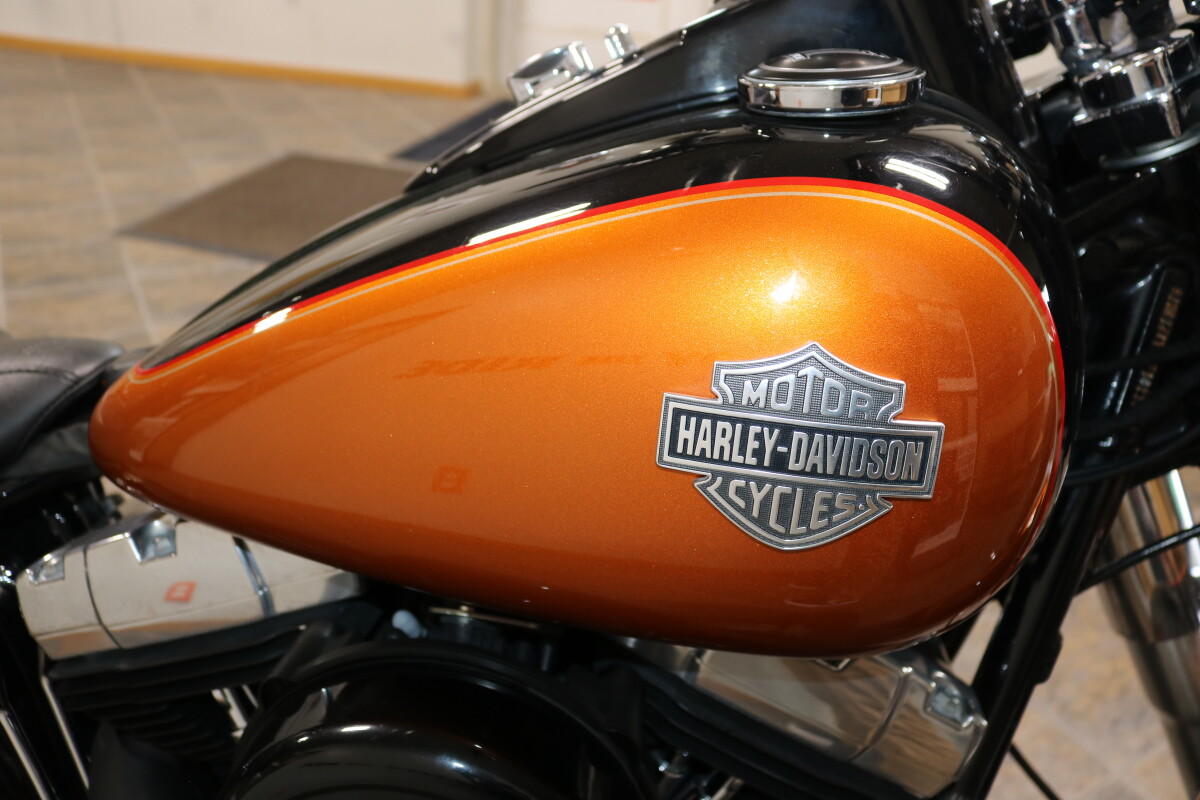FLS 2015 Softail Slim - Photo 8