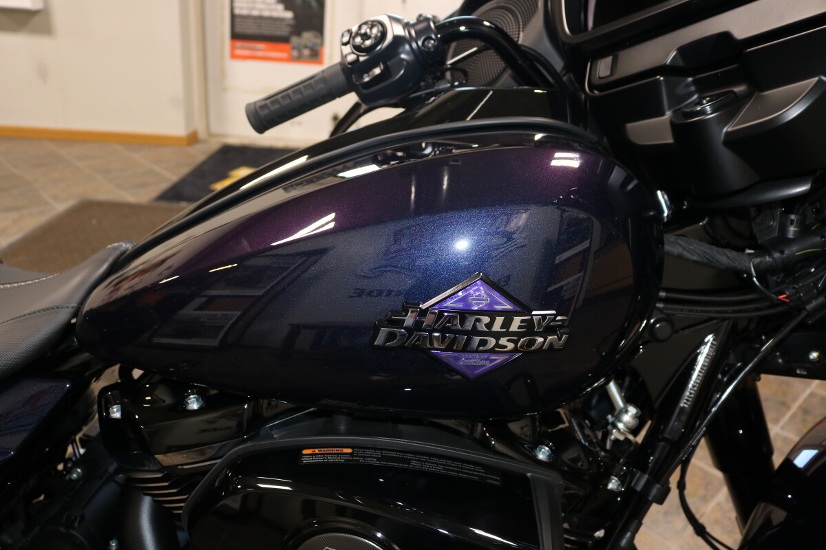 FLHX 2025 Street Glide - Photo 8