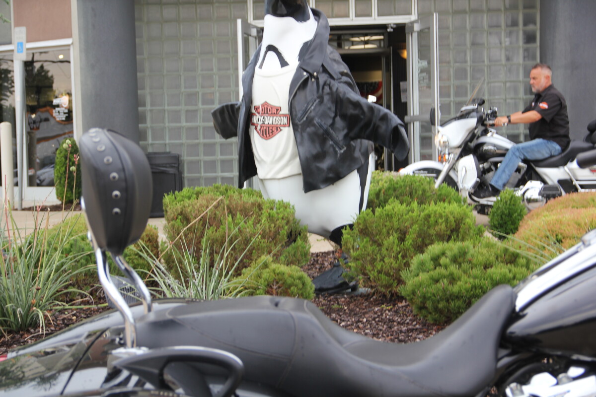 2021 Harley-Davidson Freewheeler Vivid Black - Photo 10