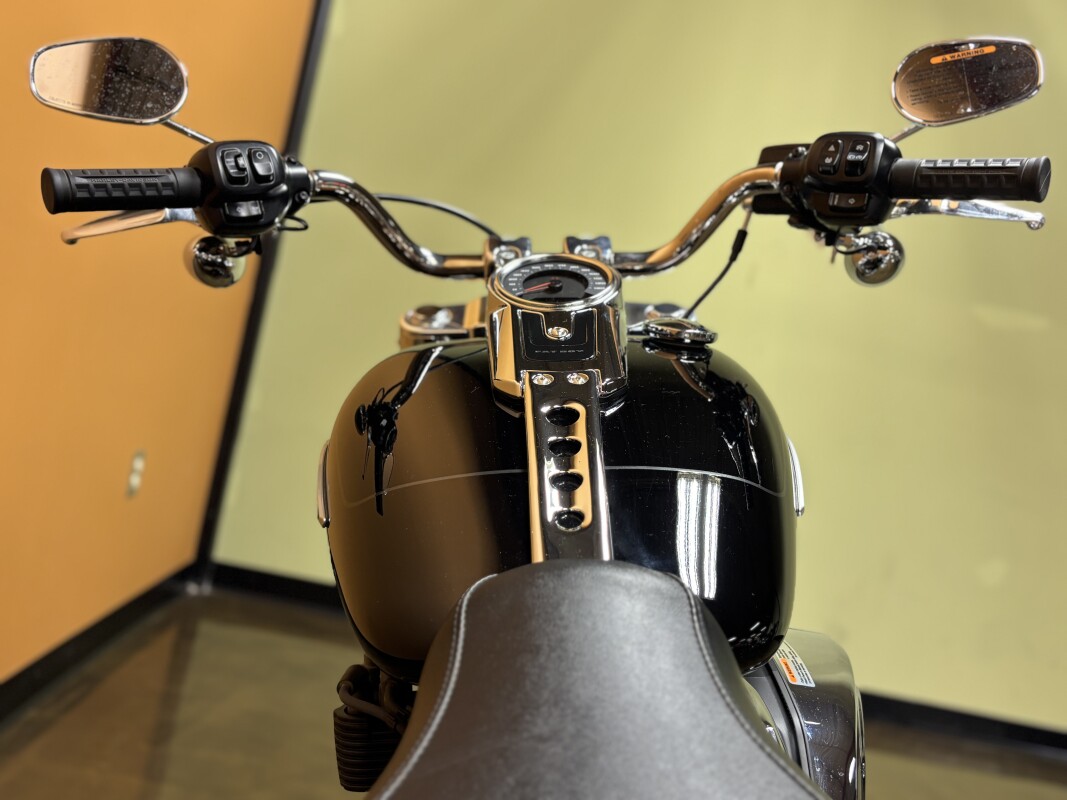 FLFB 2025 Fat Boy - Photo 10