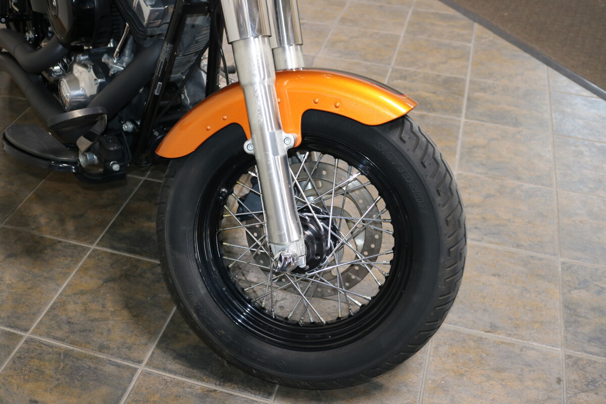 FLS 2015 Softail Slim - Photo 6