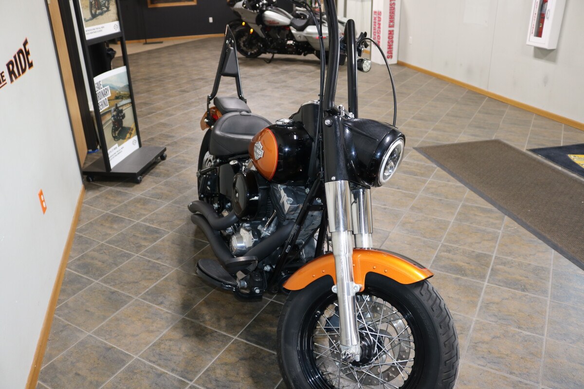 FLS 2015 Softail Slim - Photo 7