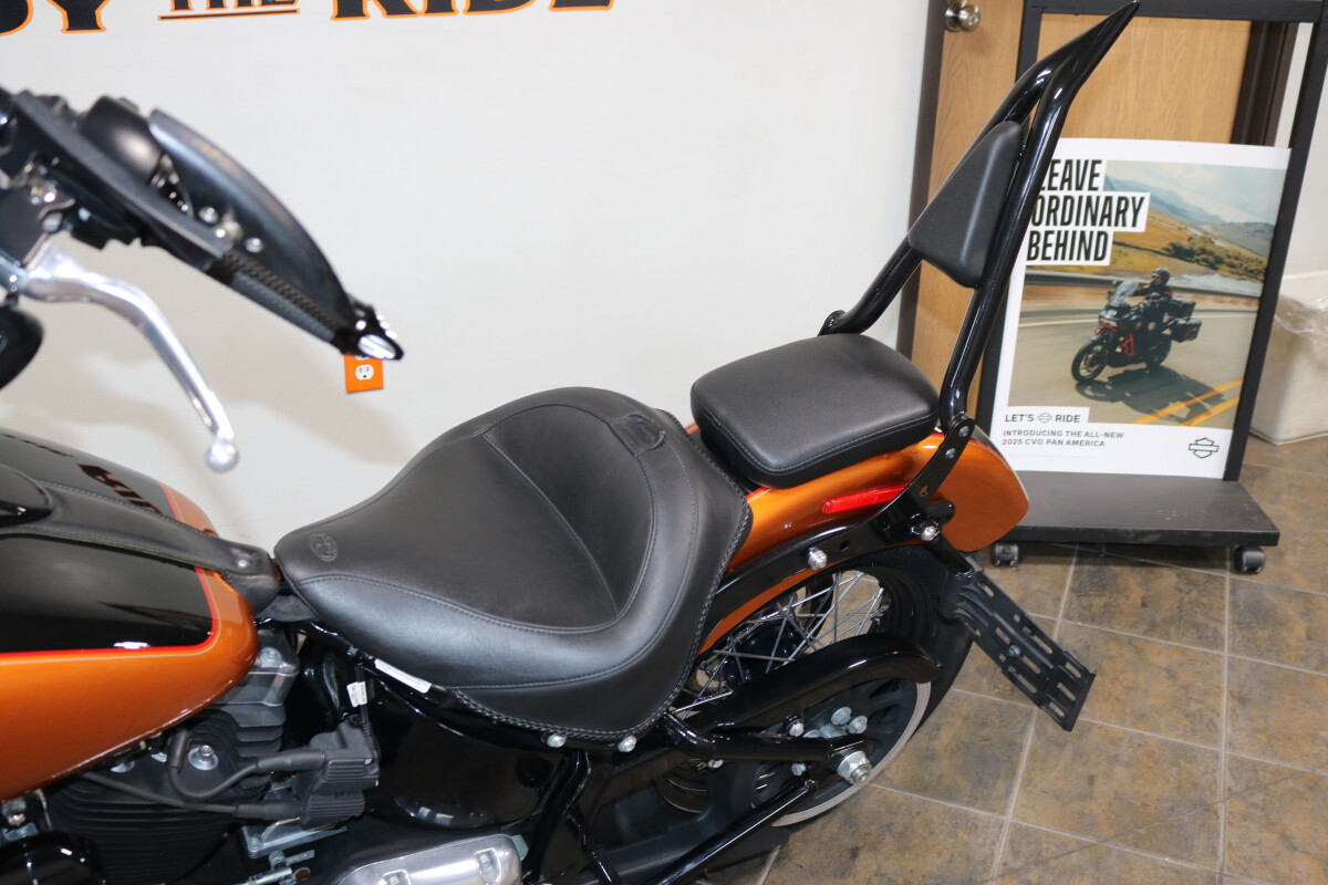FLS 2015 Softail Slim - Photo 3
