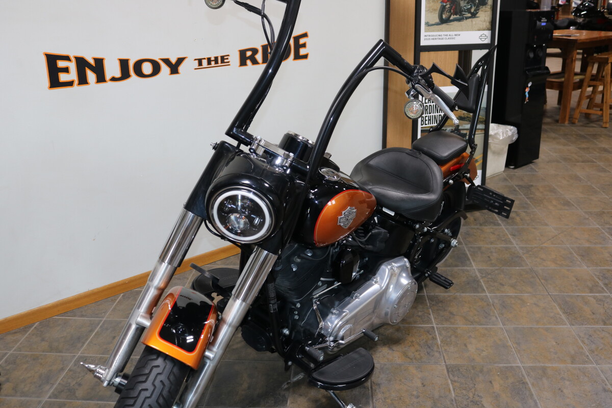 FLS 2015 Softail Slim - Photo 4