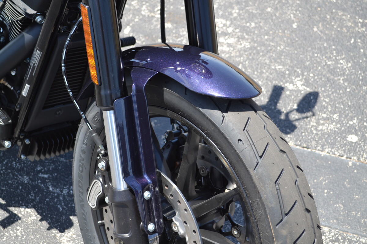 FXLRS 2025 Low Rider S - Photo 4
