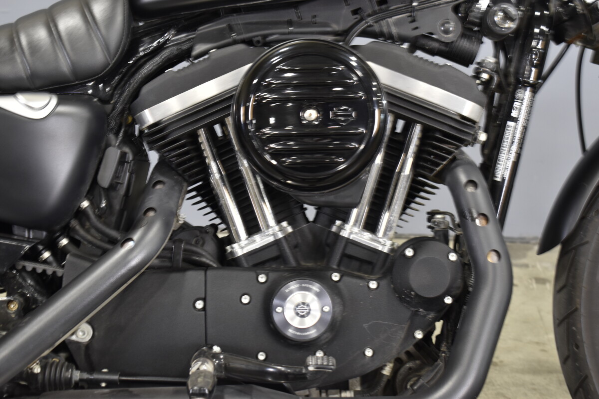 2021 Harley-Davidson Iron 883 XL 883N - Photo 10