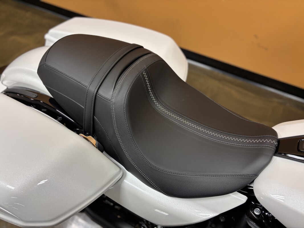 FLTRX 2025 Road Glide - Photo 10