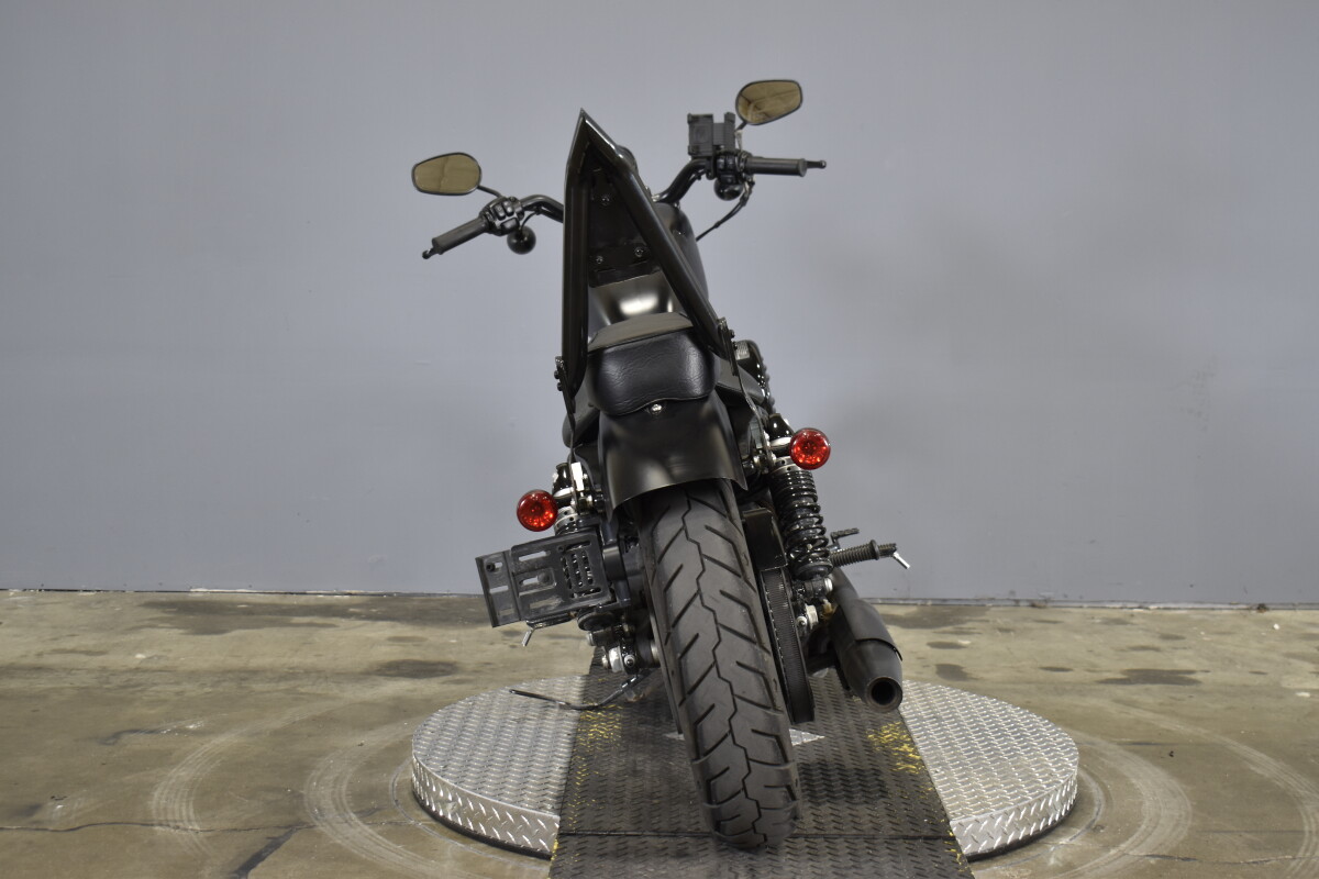 2021 Harley-Davidson Iron 883 XL 883N - Photo 7