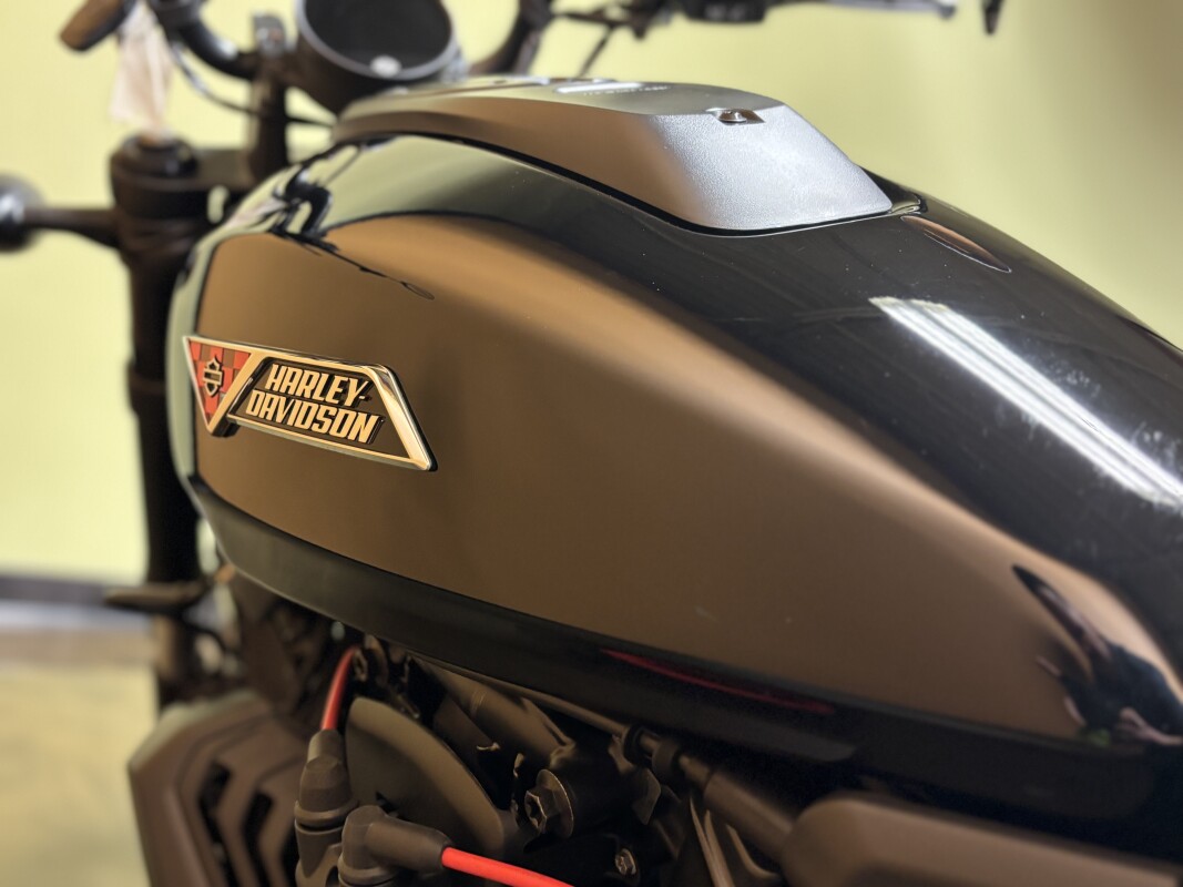 RH1250S 2025 Sportster S - Photo 10
