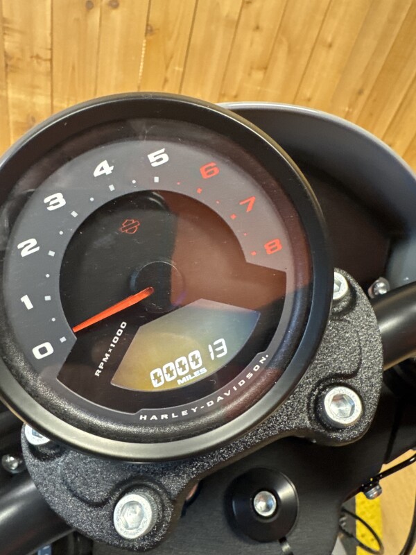 FXLRS 2024 Low Rider S - Photo 5