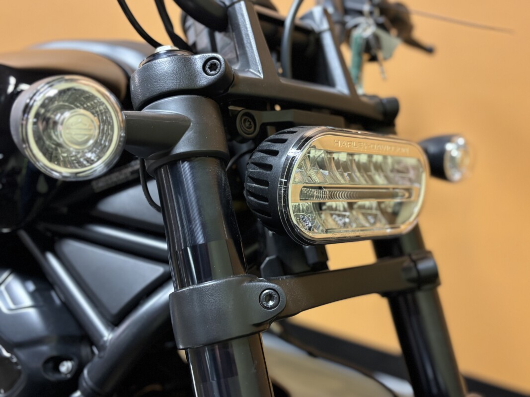 RH1250S 2025 Sportster S - Photo 6