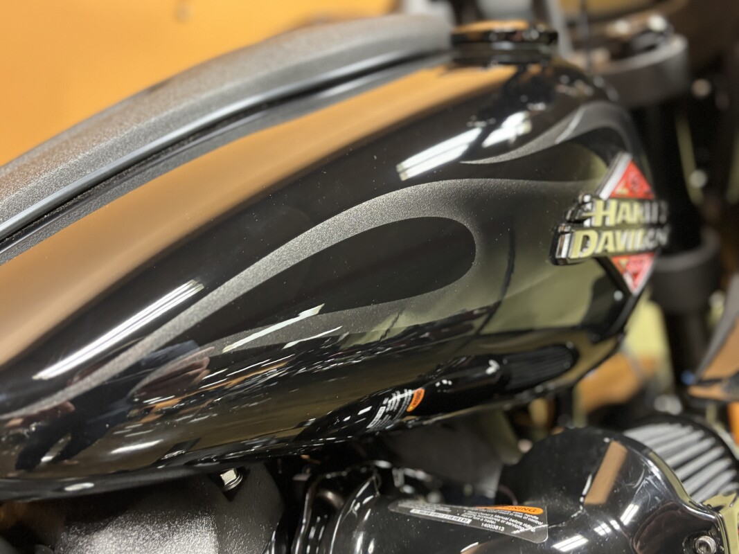 FXLRST 2025 Low Rider ST - Photo 6