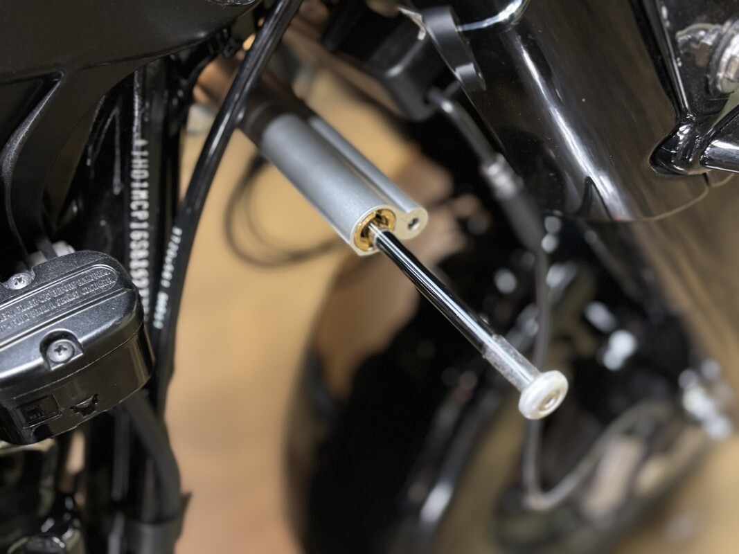 FLRT 2025 Freewheeler®, photo 12