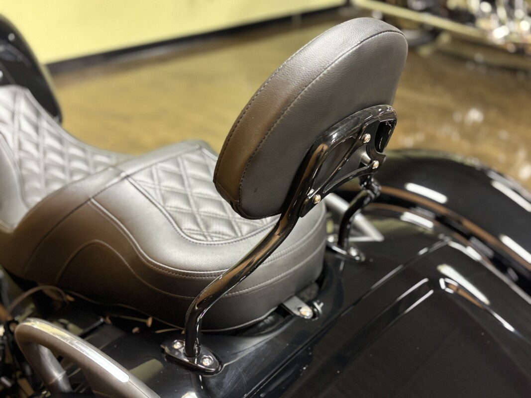 FLRT 2025 Freewheeler - Photo 10