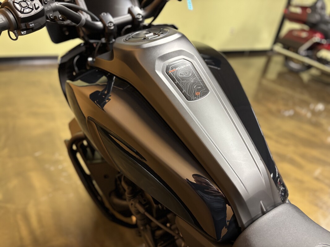 RA1250S 2024 Pan America 1250 Special - Photo 6