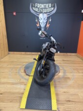 RH1250S 2024 Sportster™ S thumb 1