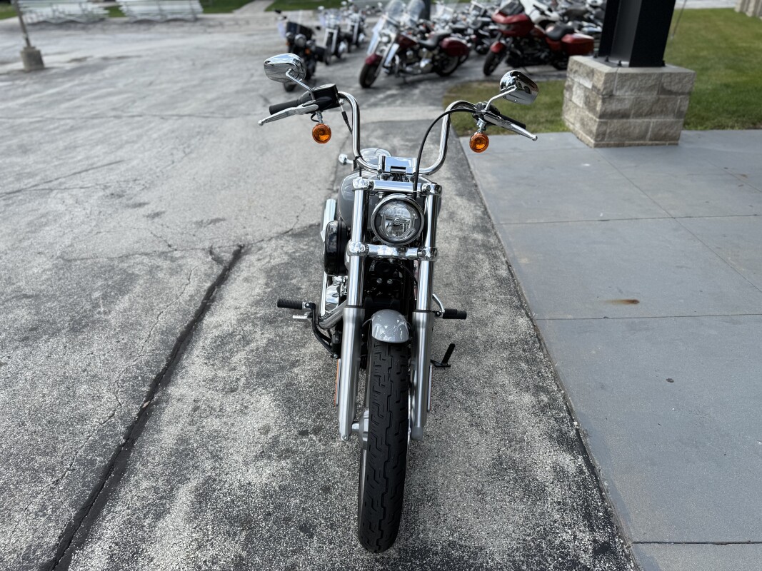 2024 Harley-Davidson Softail Standard FXST BILLIARD GRAY - Photo 8