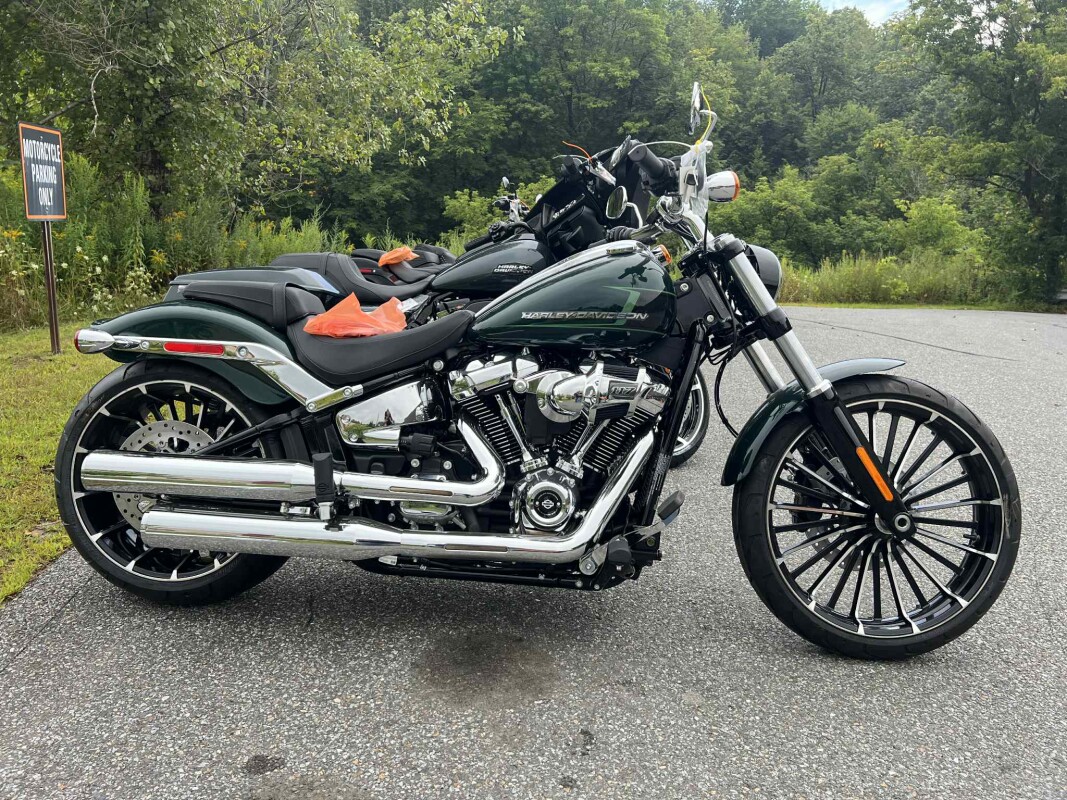 2024 Harley-Davidson FXST Softail Standard in Vivid Black
