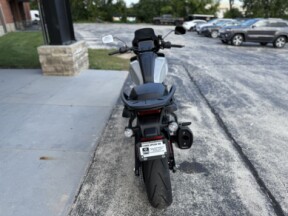 2025 Harley-Davidson® Pan America® 1250 ST Billiard Gray thumb 1