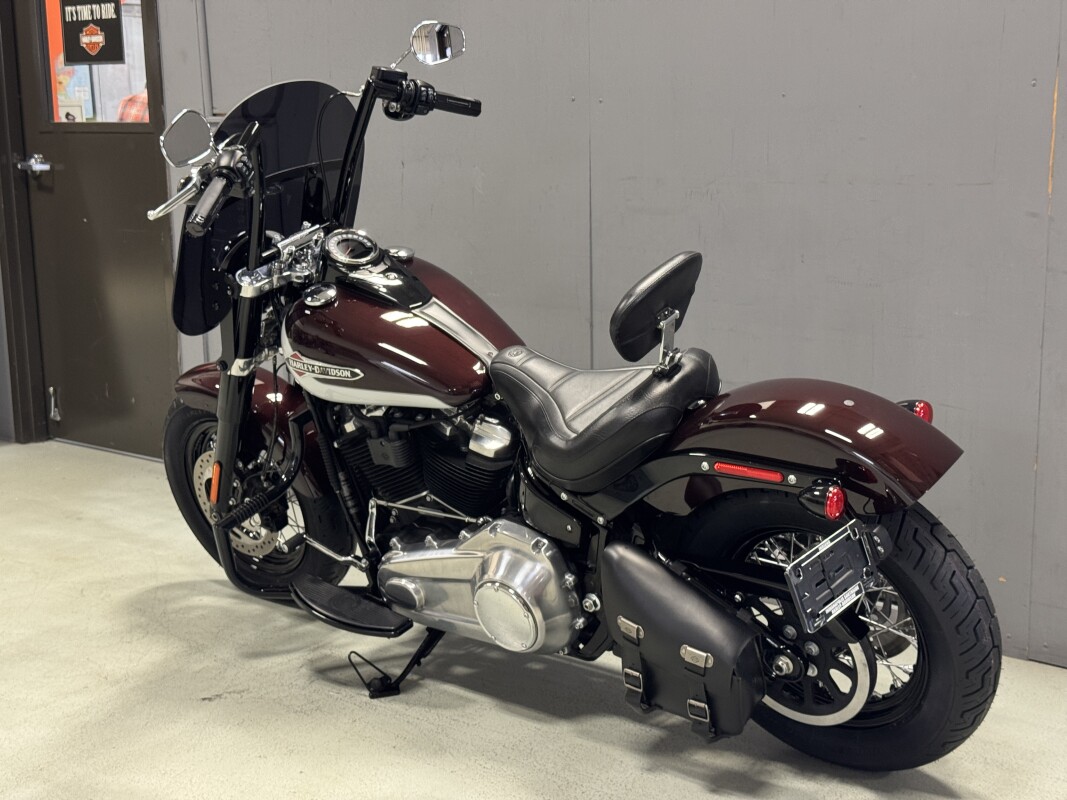 FLSL 2021 Softail Slim - Photo 6